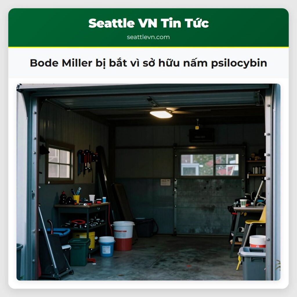 Bode Miller bị bắt vì sở hữu nấm psilocybin