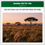 Hai chú hươu cao cổ mất tích được tìm thấy
