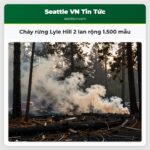 Cháy rừng Lyle Hill 2 lan rộng 1.500 mẫu