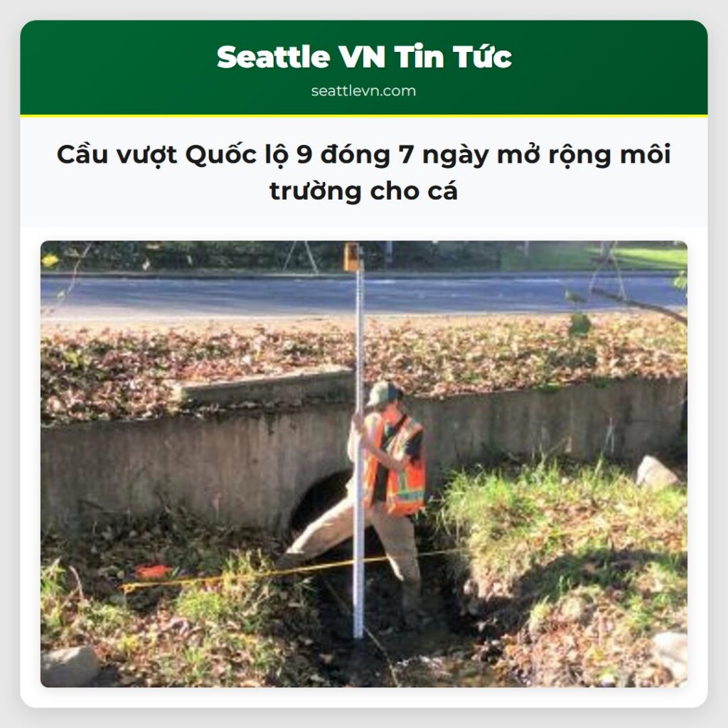 Cầu vượt Quốc lộ 9 đóng 7 ngày mở rộng môi trường