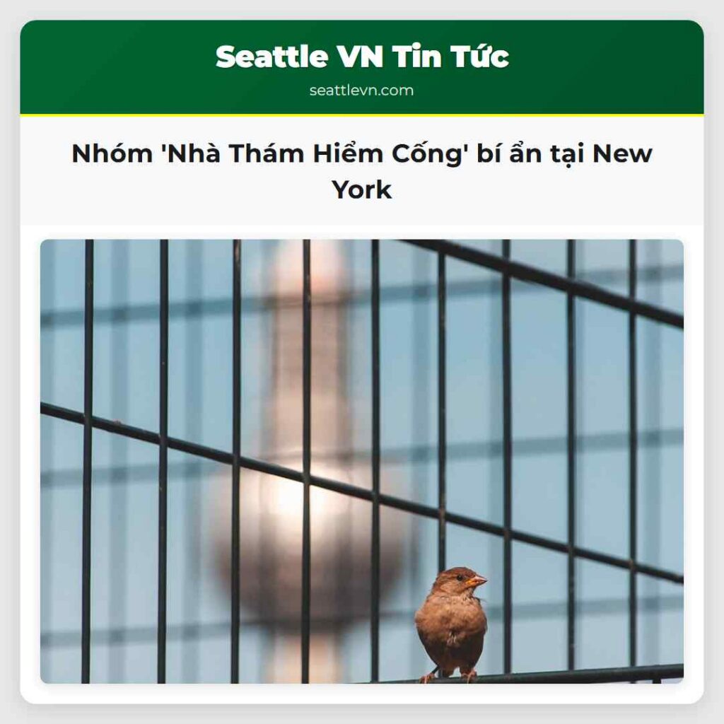 Nhóm 'Nhà Thám Hiểm Cống' bí ẩn tại New York