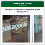 Patagonia bị cáo buộc vi phạm bản quyền thương hiệu
