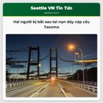 Hai người bị bắt sau tai nạn dây cáp cầu Tacoma