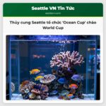 Thủy cung Seattle tổ chức Ocean Cup chào World Cup