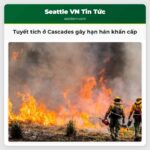 Tuyết tích ở Cascades gây hạn hán khẩn cấp