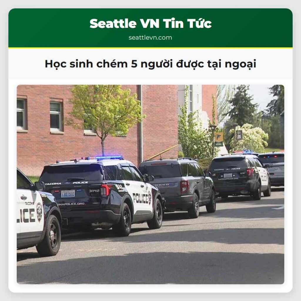 Học sinh chém 5 người được tại ngoại