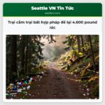 Trại cắm trại bất hợp pháp để lại 4.600 pound rác