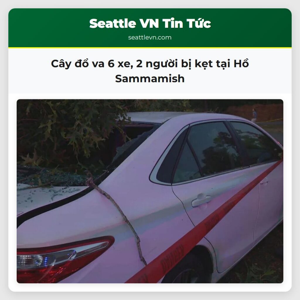 Cây đổ va 6 xe, 2 người bị kẹt tại Hồ Sammamish