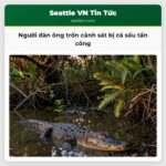 Người đàn ông trốn cảnh sát bị cá sấu tấn công