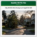 Cây đổ đè nhà chung cư 8 người di dời