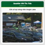 Cắt cổ tại công viên Angle Lake