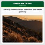 Lửa cháy Hamilton được kiểm soát lệnh sơ tán giảm cấp