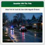 Đứa Trẻ 15 Tuổi Bị Cáo Giết Người Ở Kent