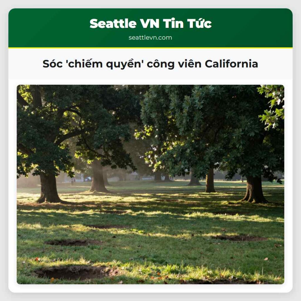 Sóc 'chiếm quyền' công viên California