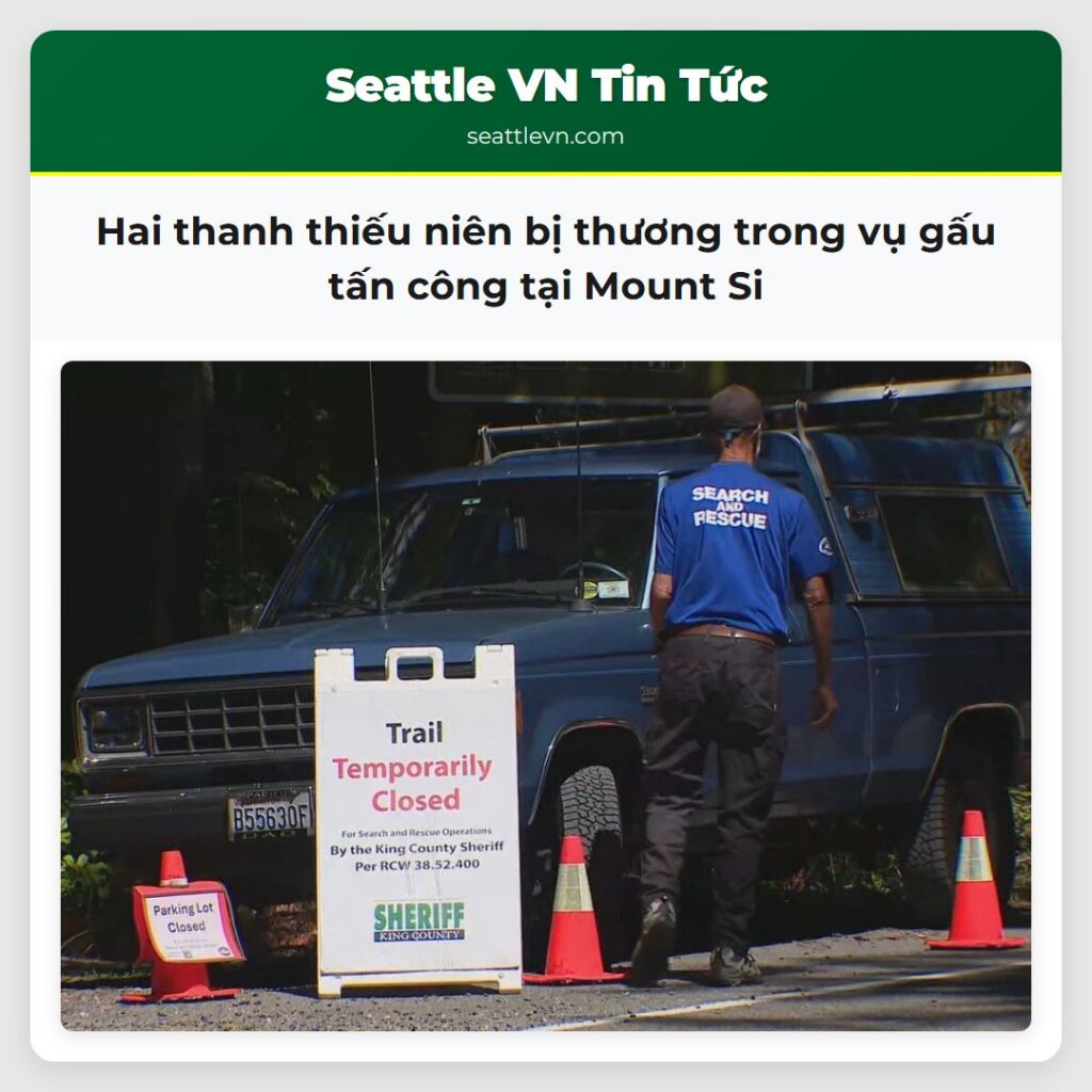 Hai thanh thiếu niên bị thương trong vụ gấu tấn