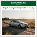 2 người tử vong sau tai nạn xe hơi va vào cây