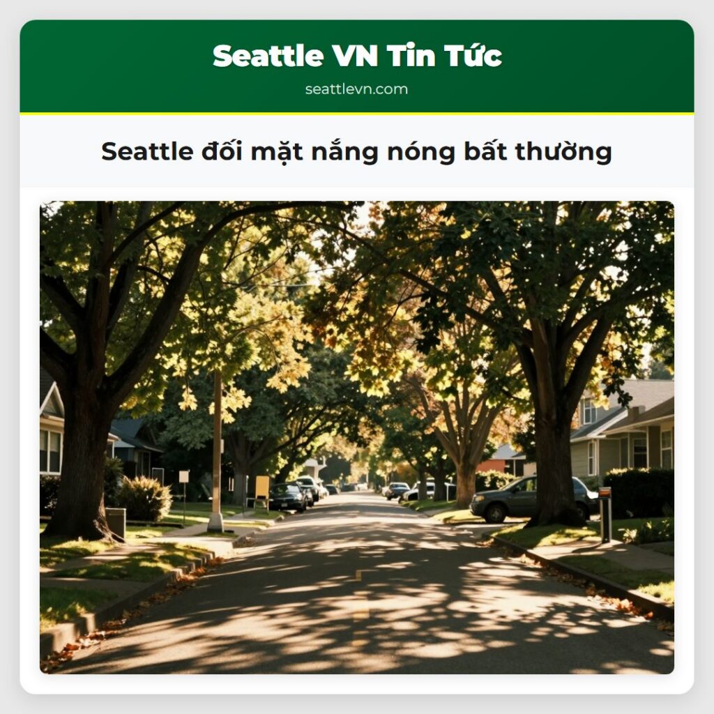 Seattle đối mặt nắng nóng bất thường