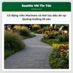 Cổ động viên Mariners có thể lưu dấu ấn tại Quảng trường Di sản