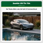 Xe Tesla đâm vào bể bơi ở Connecticut