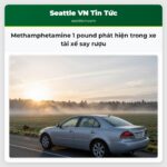 Methamphetamine 1 pound phát hiện trong xe tài xế say rượu