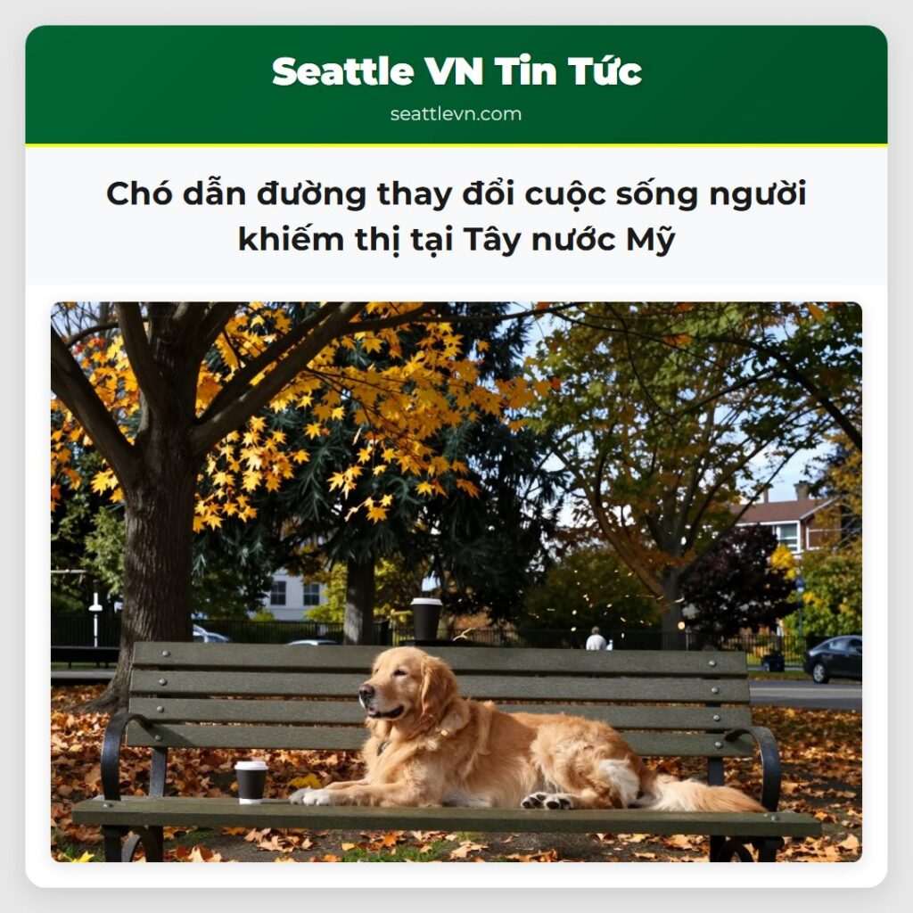 Chó dẫn đường thay đổi cuộc sống người khiếm thị