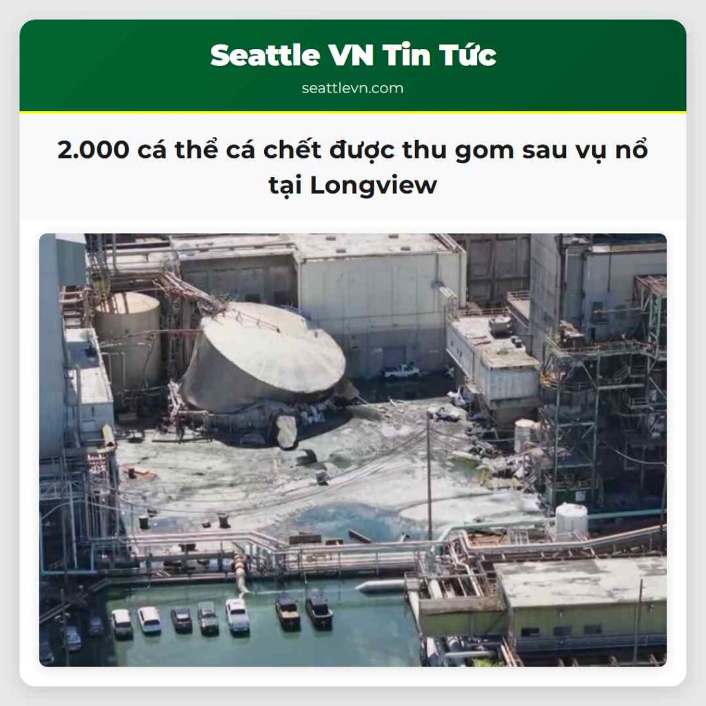 2.000 cá thể cá chết được thu gom sau vụ nổ tại