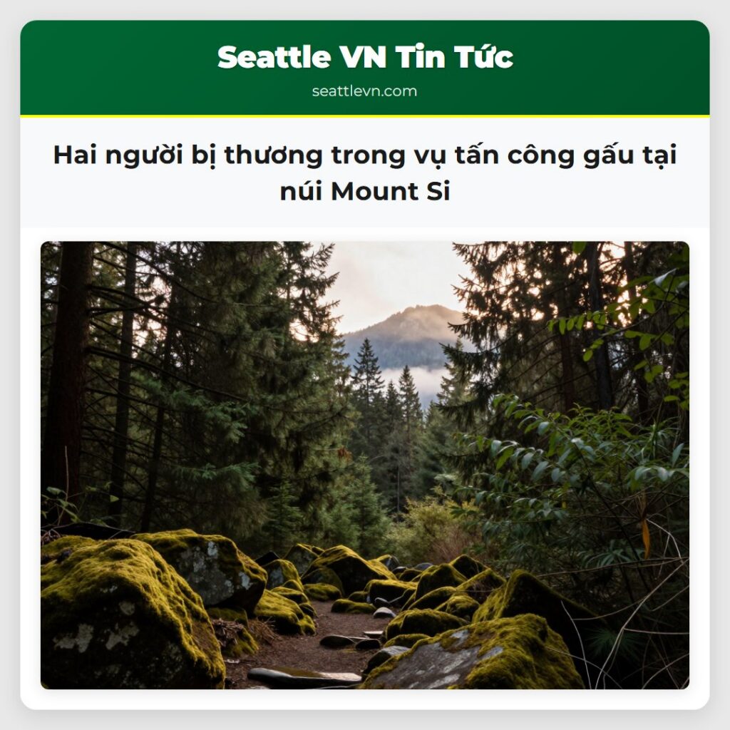 Hai người bị thương trong vụ tấn công gấu tại núi
