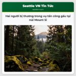 Hai người bị thương trong vụ tấn công gấu tại núi Mount Si