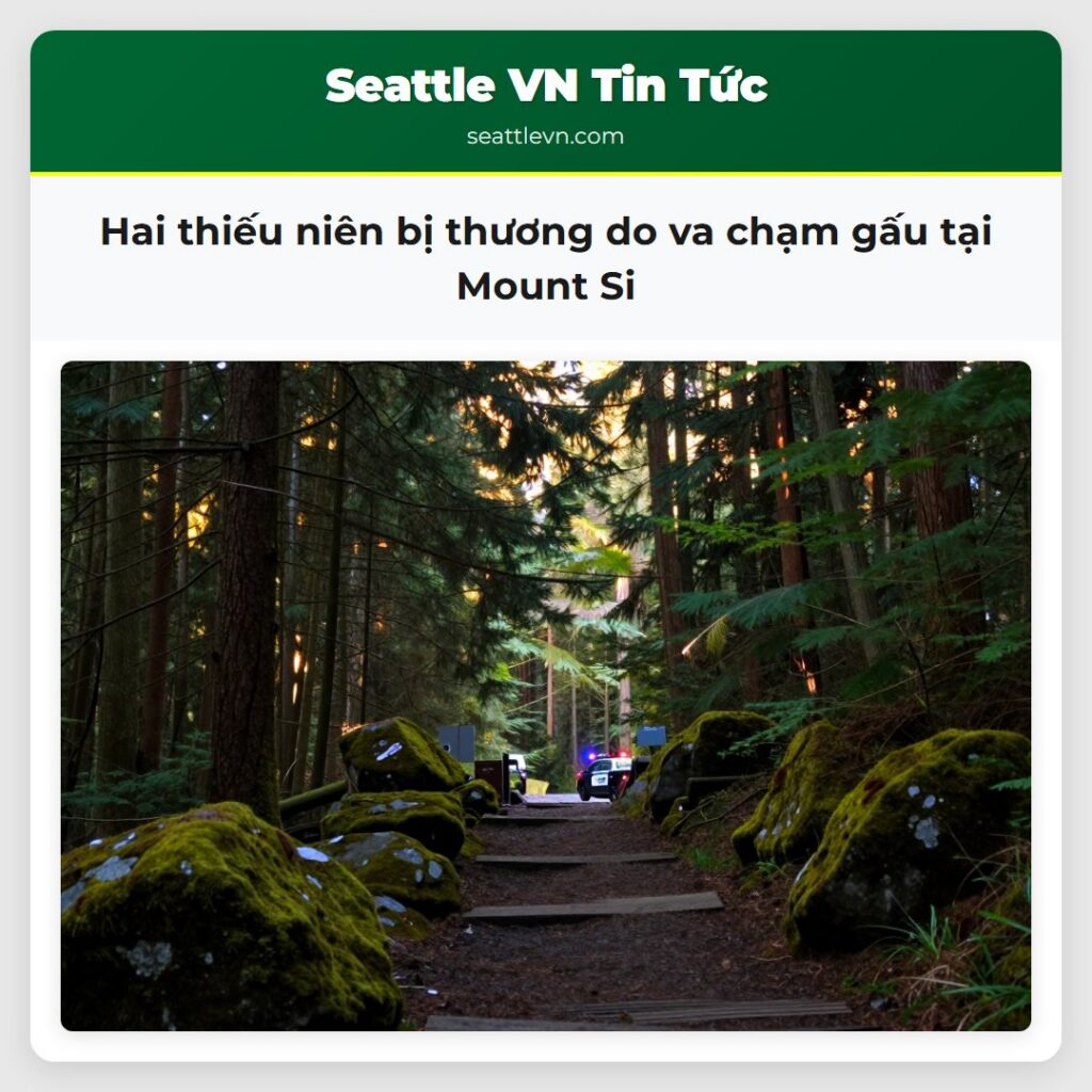 Hai thiếu niên bị thương do va chạm gấu tại Mount