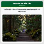 Hai thiếu niên bị thương do va chạm gấu tại Mount Si