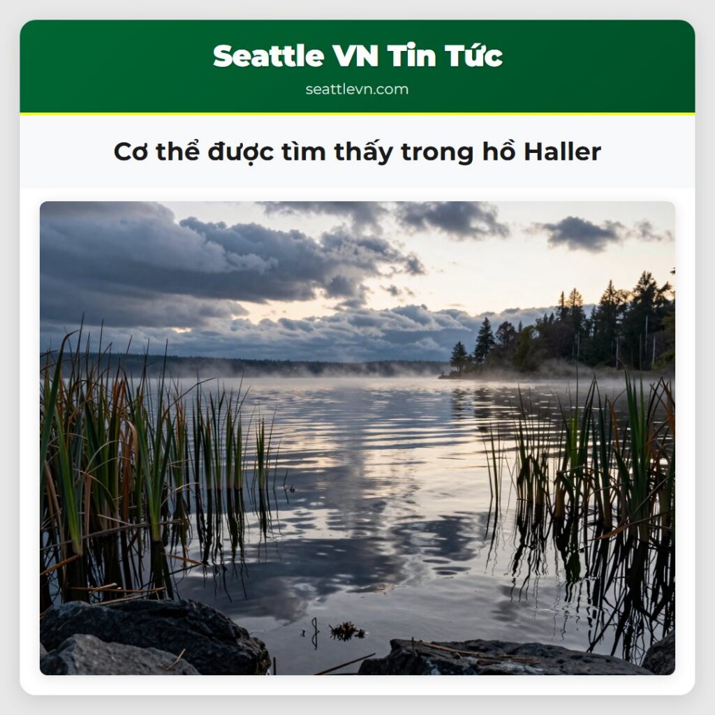 Cơ thể được tìm thấy trong hồ Haller