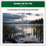 Cơ thể được tìm thấy trong hồ Haller