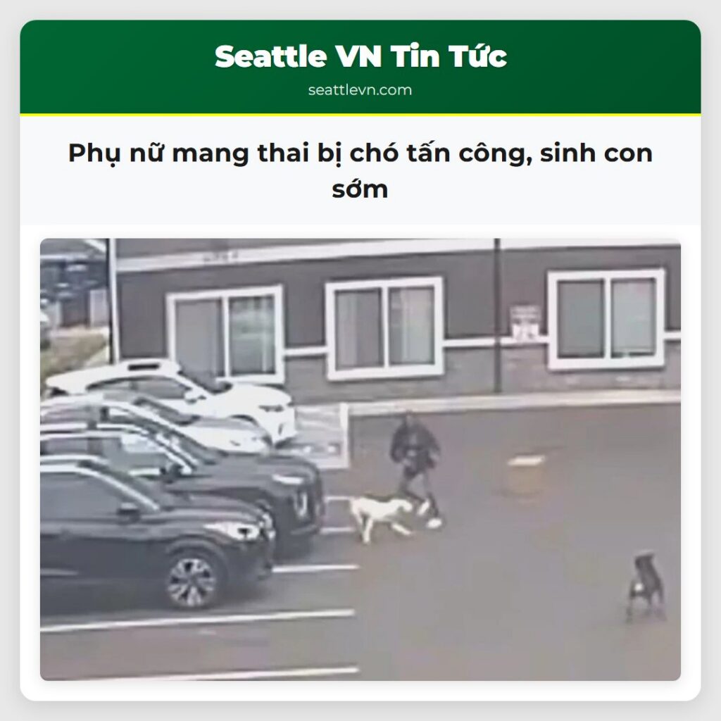 Phụ nữ mang thai bị chó tấn công, sinh con sớm