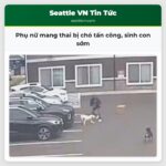Phụ nữ mang thai bị chó tấn công sinh con sớm