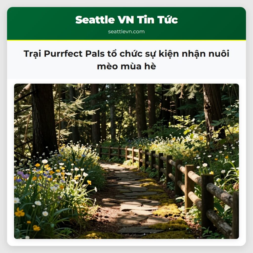Trại Purrfect Pals tổ chức sự kiện nhận nuôi mèo