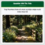 Trại Purrfect Pals tổ chức sự kiện nhận nuôi mèo mùa hè