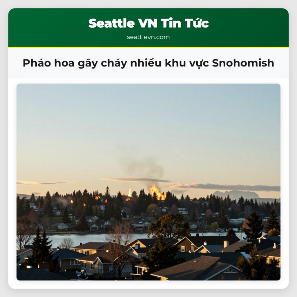 Pháo hoa gây cháy nhiều khu vực Snohomish