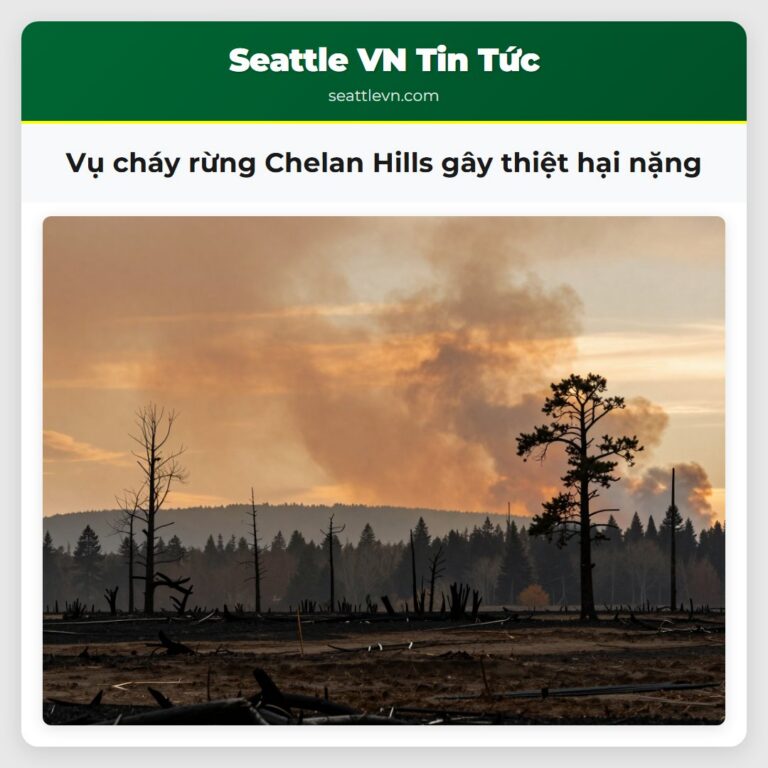 Vụ cháy rừng Chelan Hills gây thiệt hại nặng