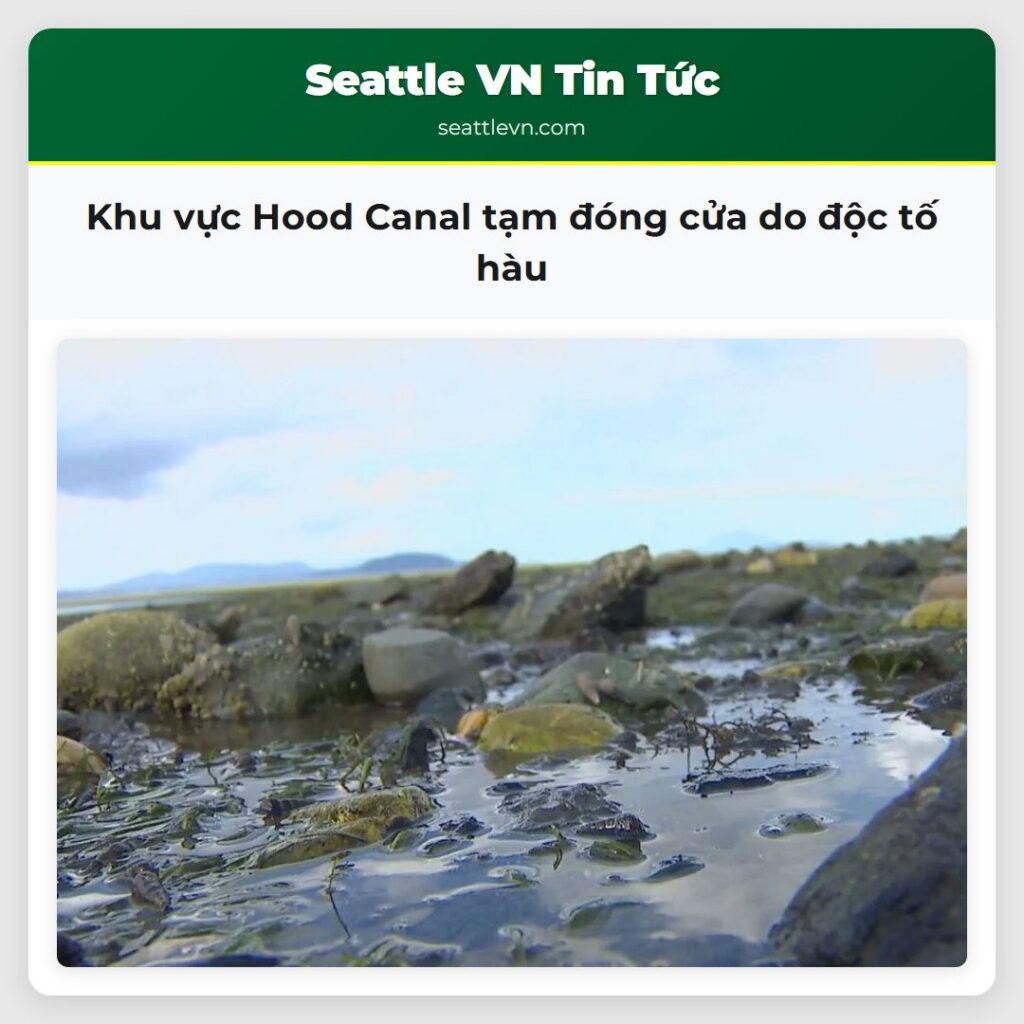 Khu vực Hood Canal tạm đóng cửa do độc tố hàu