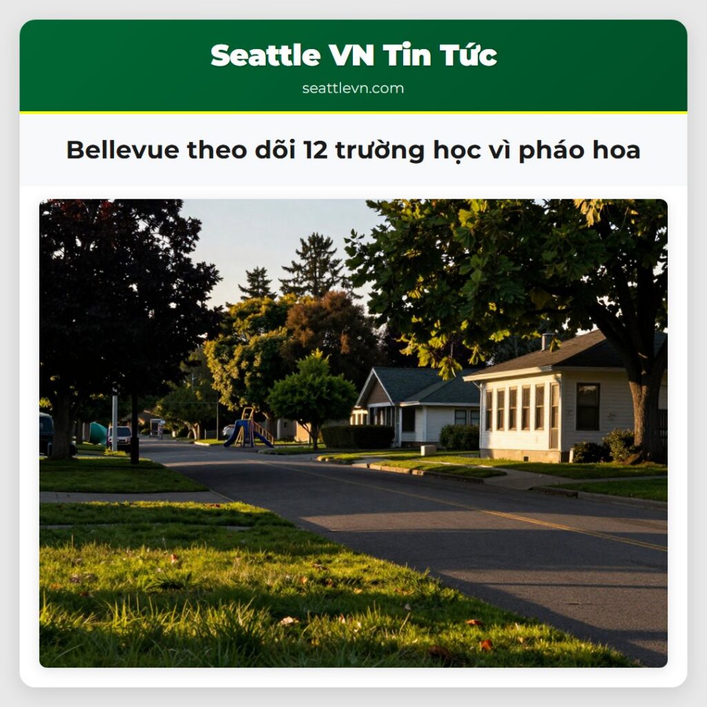 Bellevue theo dõi 12 trường học vì pháo hoa