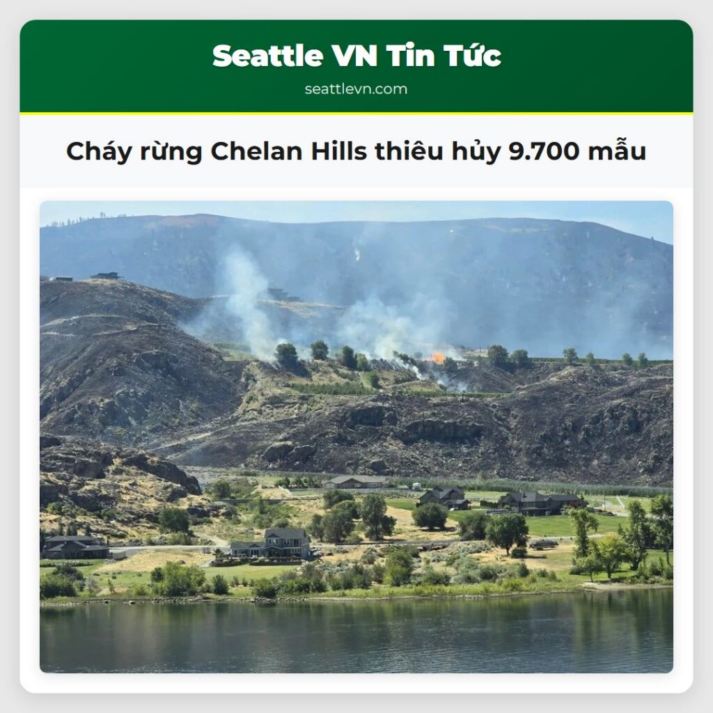 Cháy rừng Chelan Hills thiêu hủy 9.700 mẫu
