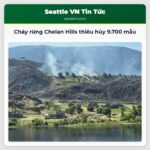 Cháy rừng Chelan Hills thiêu hủy 9.700 mẫu