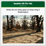 Nhiệt độ cao tăng nguy cơ cháy rừng ở Washington