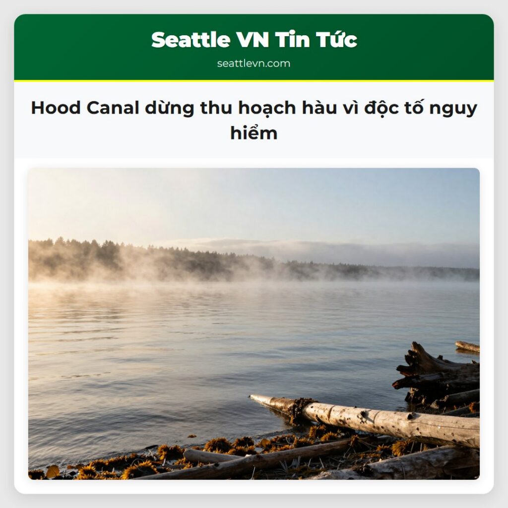 Hood Canal dừng thu hoạch hàu vì độc tố nguy hiểm