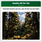 Thời tiết Seattle ấm lên đạt 70 độ vào thứ Năm