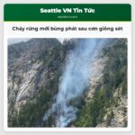 Cháy rừng mới bùng phát sau cơn giông sét