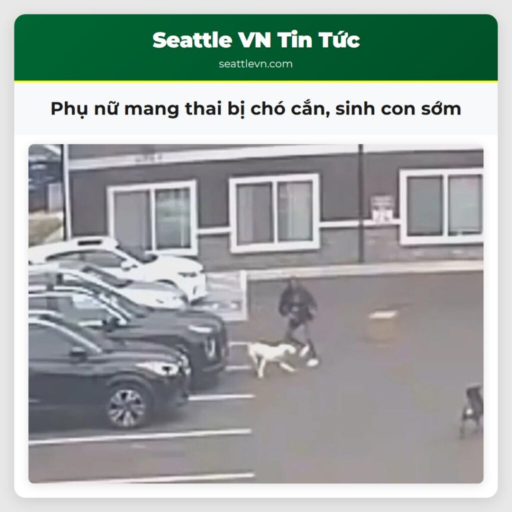 Phụ nữ mang thai bị chó cắn, sinh con sớm