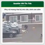 Phụ nữ mang thai bị chó cắn sinh con sớm