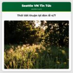 Thời tiết thuận lợi đón lễ 4/7