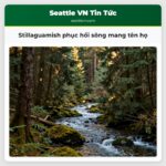 Stillaguamish phục hồi sông mang tên họ